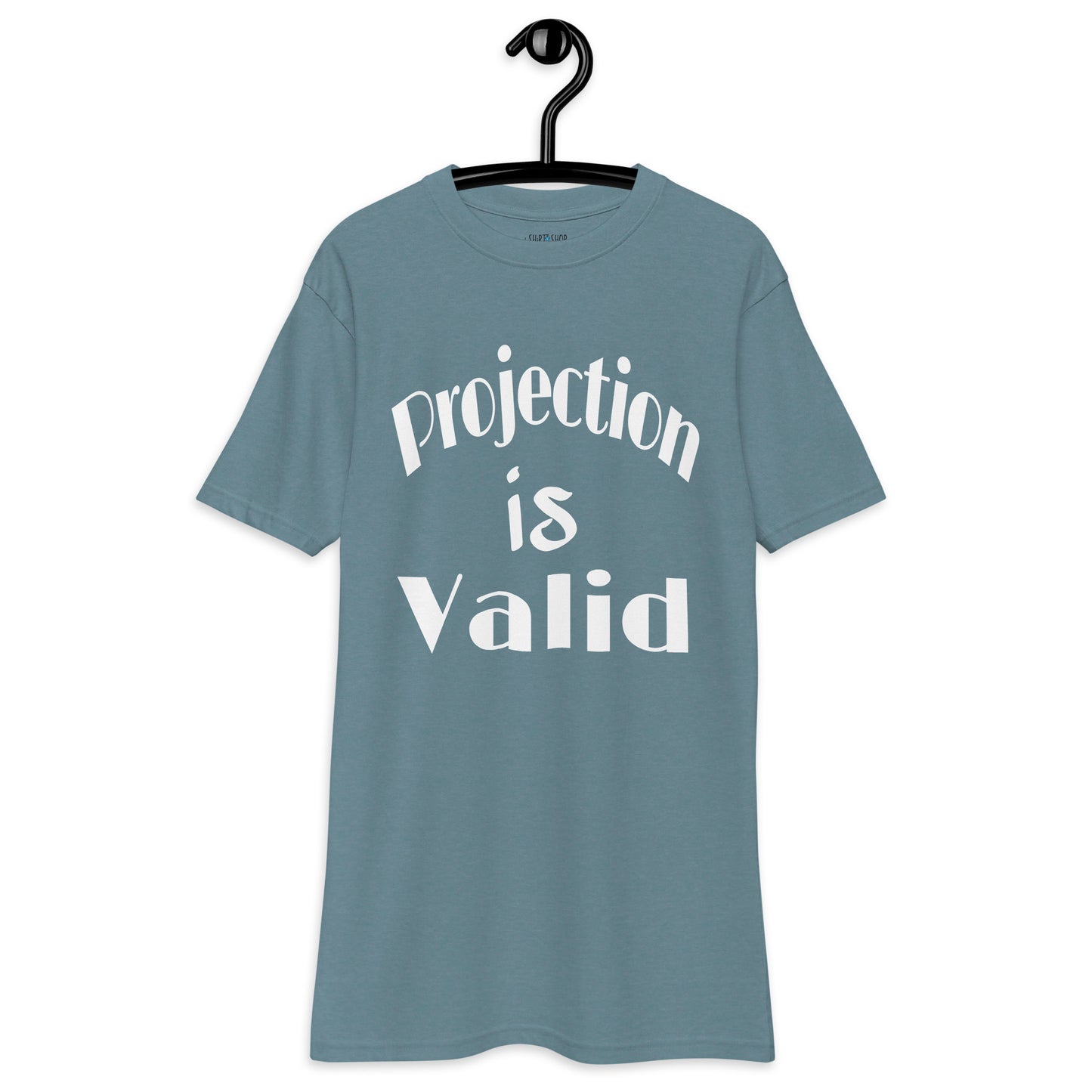 Projection Is Valid Premium Heavyweight Tee