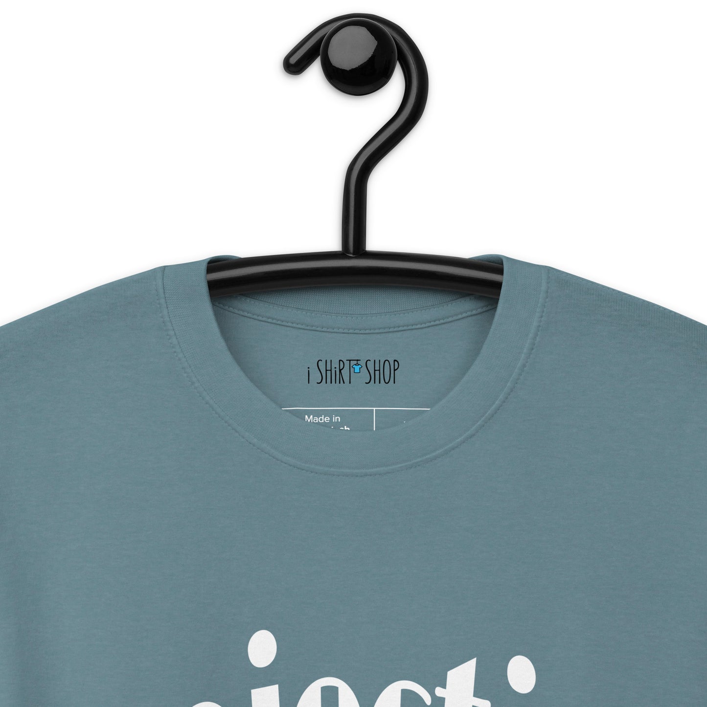 Projection Is Valid Premium Heavyweight Tee