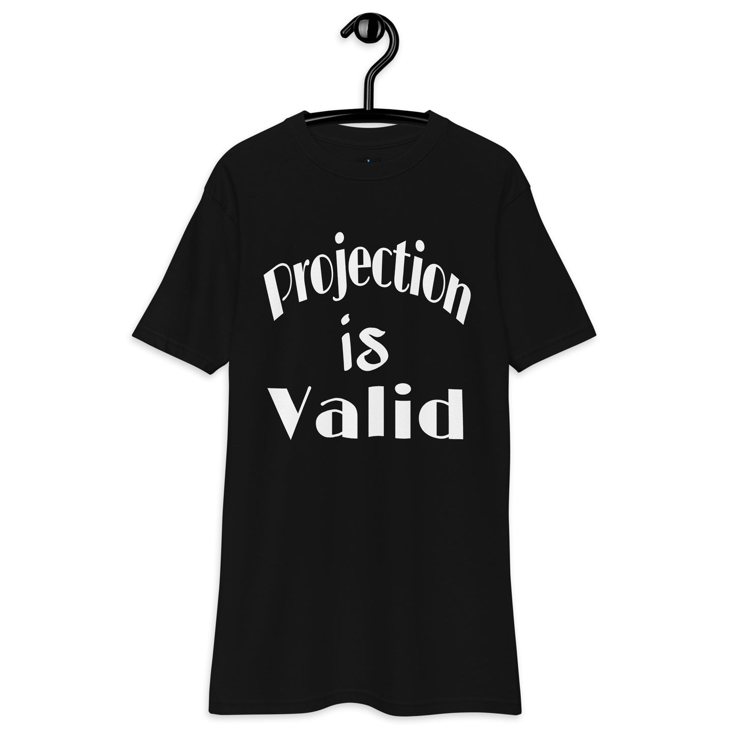 Projection Is Valid Premium Heavyweight Tee